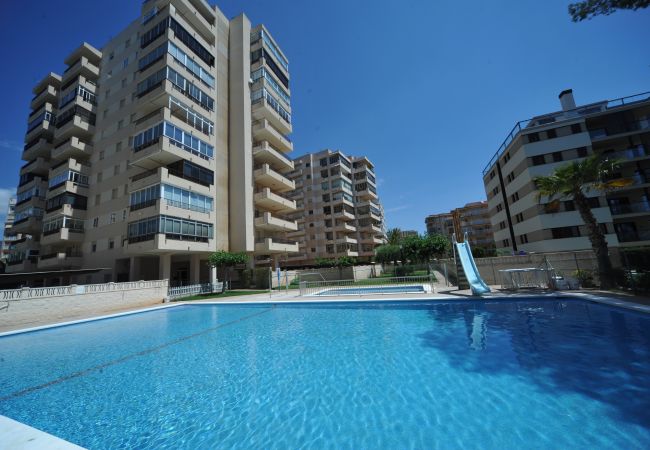 Apartamento en Benicàssim - MADEIRA Apartamento en Benicàssim - MADEIRA