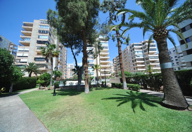 Apartamento en Benicàssim - MADEIRA Apartamento en Benicàssim - MADEIRA