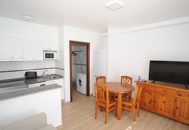 Apartamento en Benicàssim - ORANGE PARK ESTUDIO JARDIN