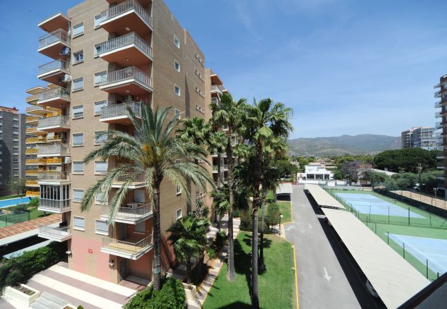 Apartamento en Benicàssim - BALI Apartamento en Benicàssim - BALI