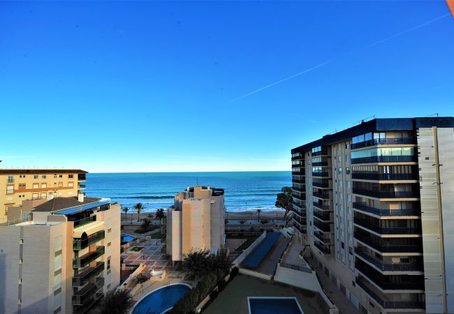 Apartamento en Benicàssim - OLIMPO Apartamento en Benicàssim - OLIMPO