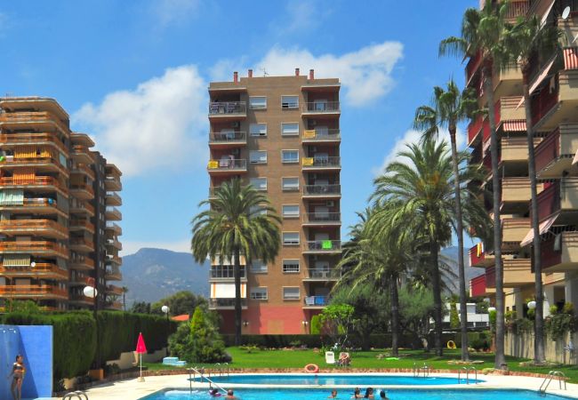 Apartamento en Benicassim - BALI