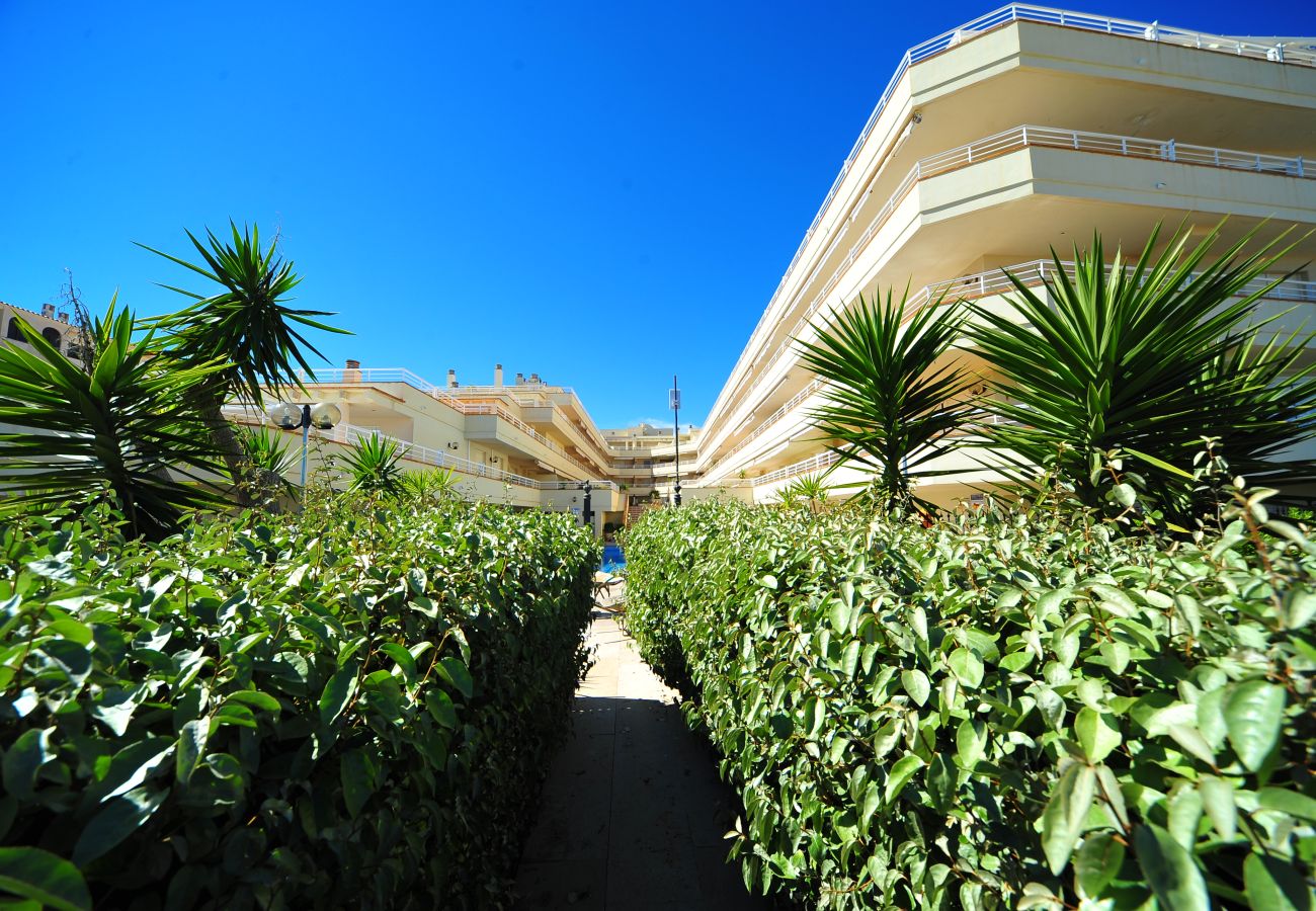 Apartamento en Alcoceber / Alcossebre - CALA MONTERO