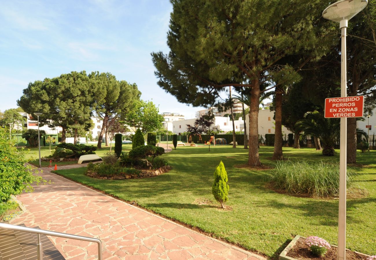 Apartamento en Benicàssim - AMANECER