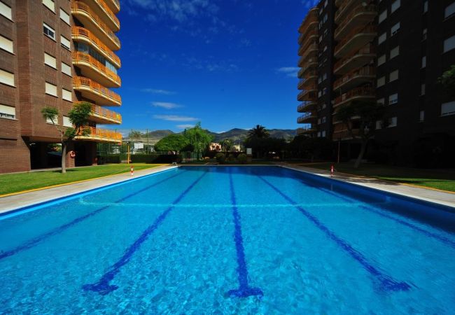 Apartamento en Benicàssim - BENIPAL SUPERIOR