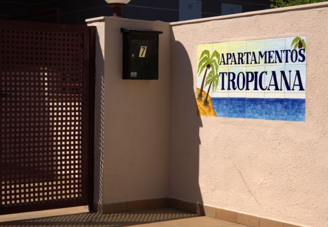 Apartamento en Benicàssim - TROPICANA Apartamento en Benicàssim - TROPICANA
