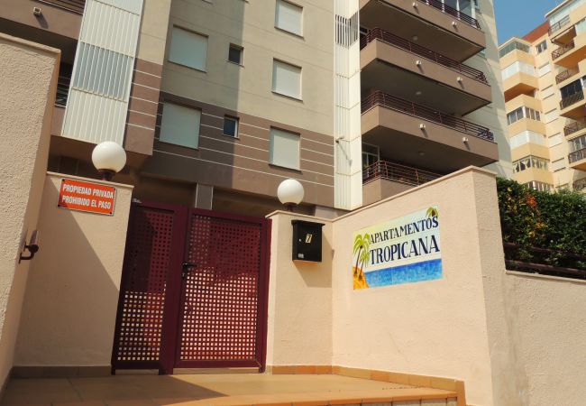Apartamento en Benicàssim - TROPICANA Apartamento en Benicàssim - TROPICANA