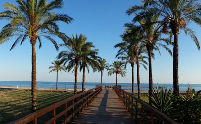 Palmiers symétriques sur la plage Els Terrers visiter Benicàssim