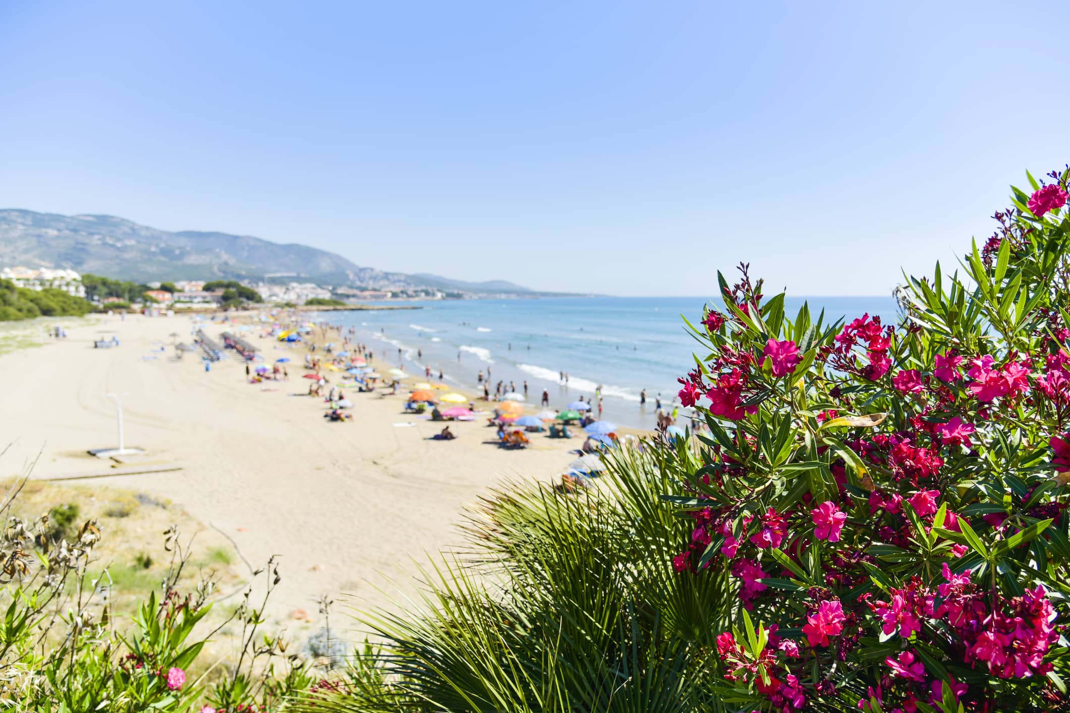 Benicasim alojamiento turistico