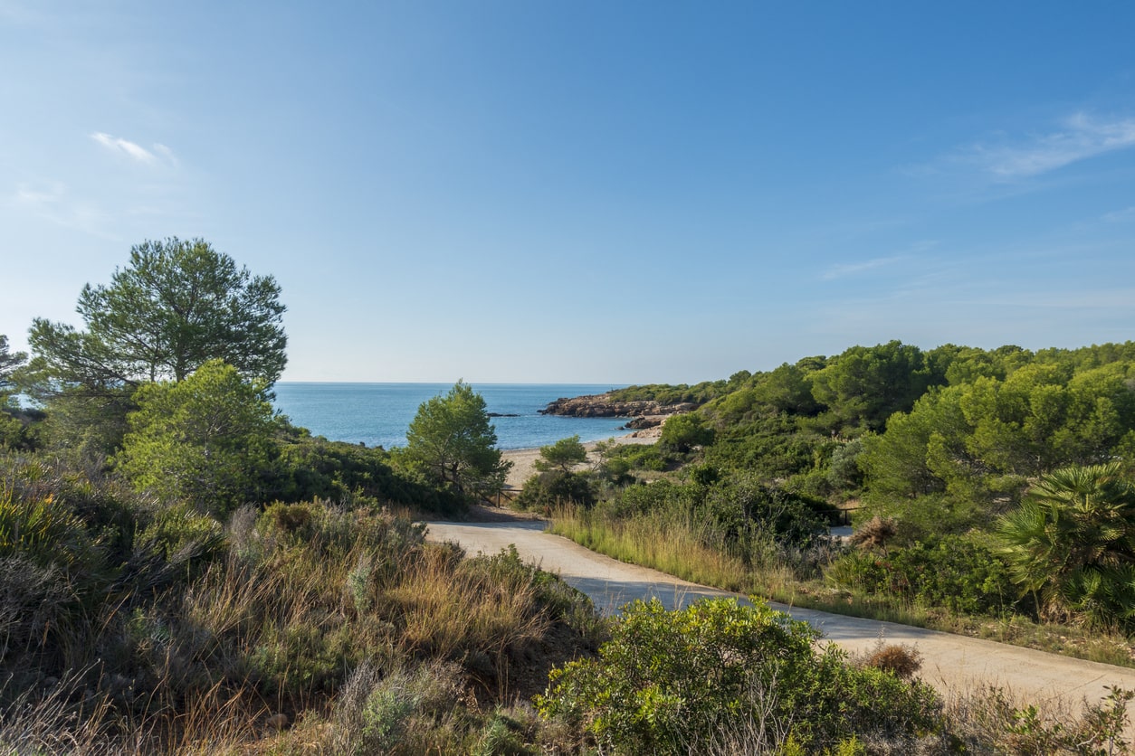 Sierra de Irta Hébergement à Peñiscola