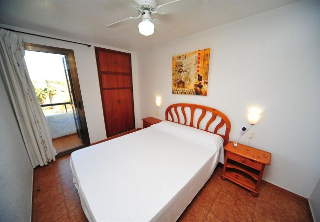 Apartment in Benicàssim - ORANGE PARK APARTAMENTO JARDIN Apartment in Benicàssim - ORANGE PARK APARTAMENTO JARDIN