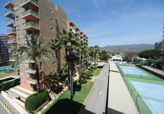 Apartment in Benicàssim - BALI Apartment in Benicàssim - BALI