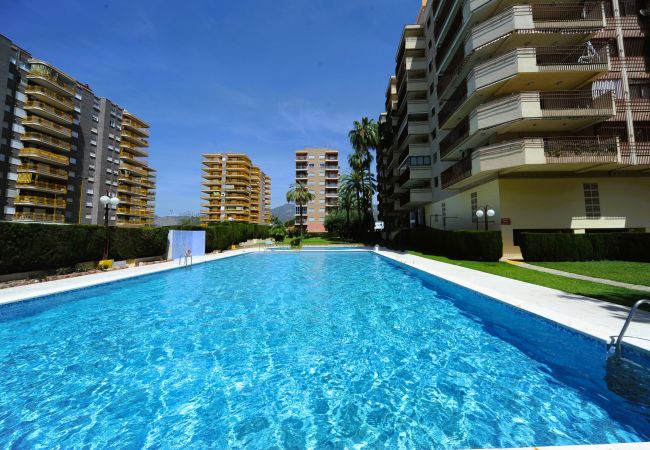 Apartment in Benicàssim - BALI Apartment in Benicàssim - BALI