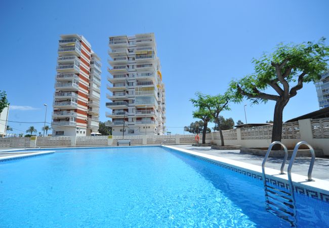 Apartment in Benicàssim - ESTORIL BLQ 2 Apartment in Benicàssim - ESTORIL BLQ 2