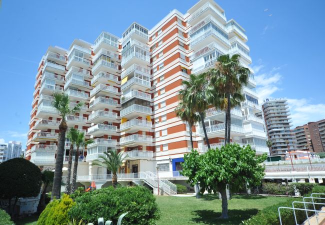 Apartment in Benicàssim - ESTORIL BLQ 2 Apartment in Benicàssim - ESTORIL BLQ 2