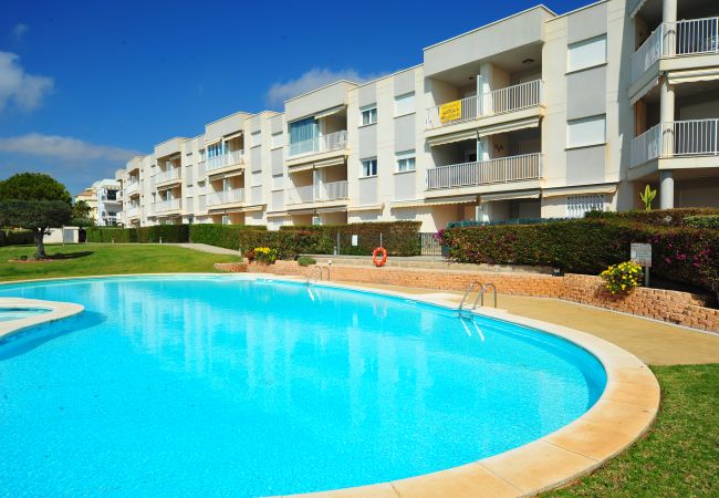 Apartment in Alcocebre / Alcossebre - ROQUER MARTI