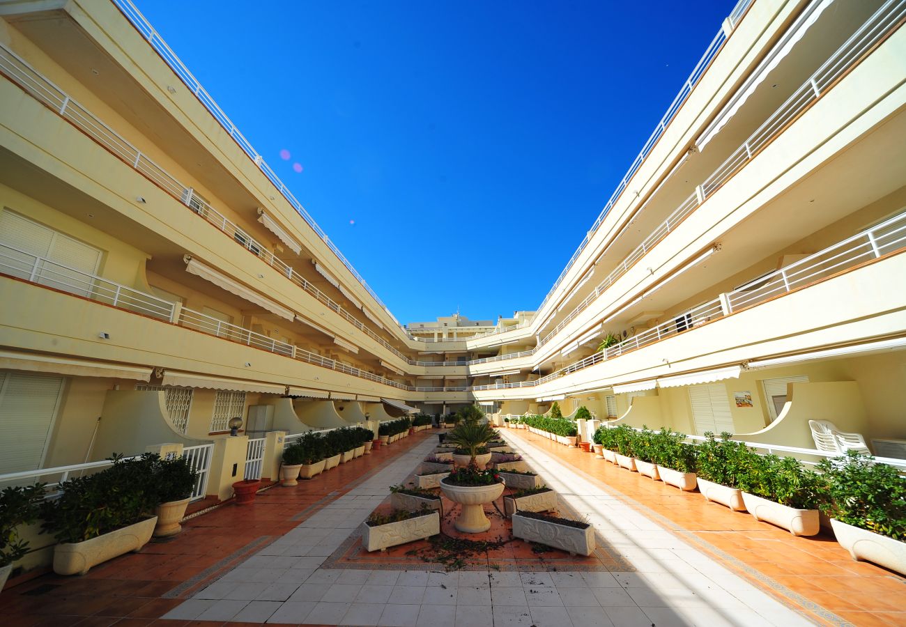 Apartment in Alcocebre / Alcossebre - CALA MONTERO