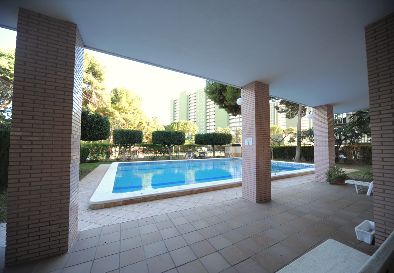 Apartment in Benicàssim - LA PINADA