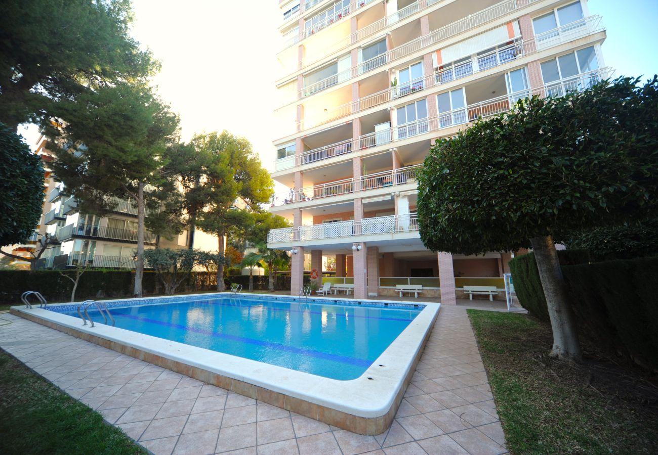 Apartment in Benicàssim - LA PINADA