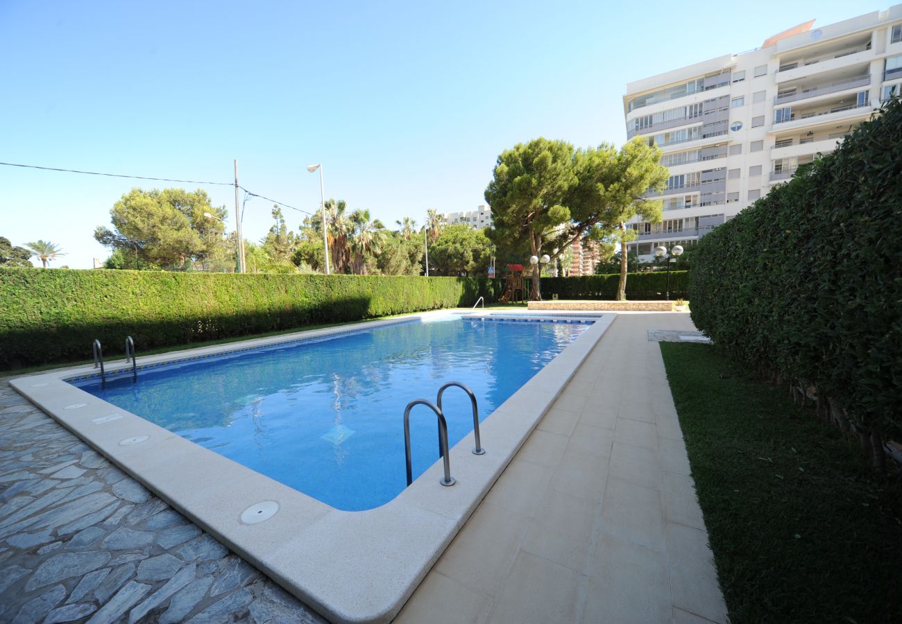 Apartment in Benicàssim - ALCAZABA