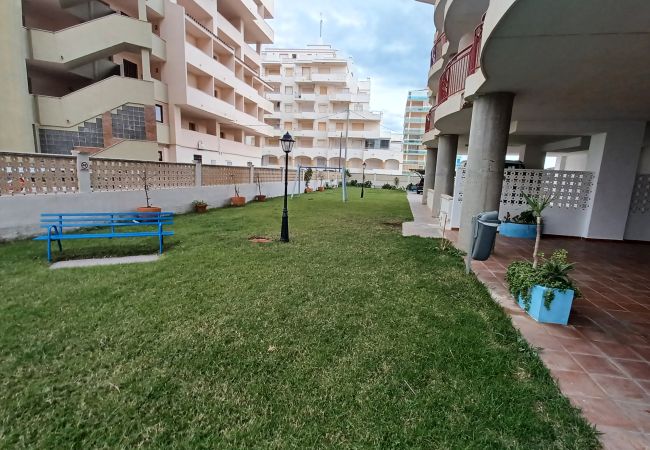 Apartment in Peñiscola - OLIMPO PEÑISCOLA Apartment in Peñiscola - OLIMPO PEÑISCOLA