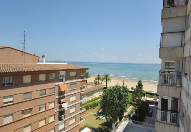  in Benicàssim - VENECIA