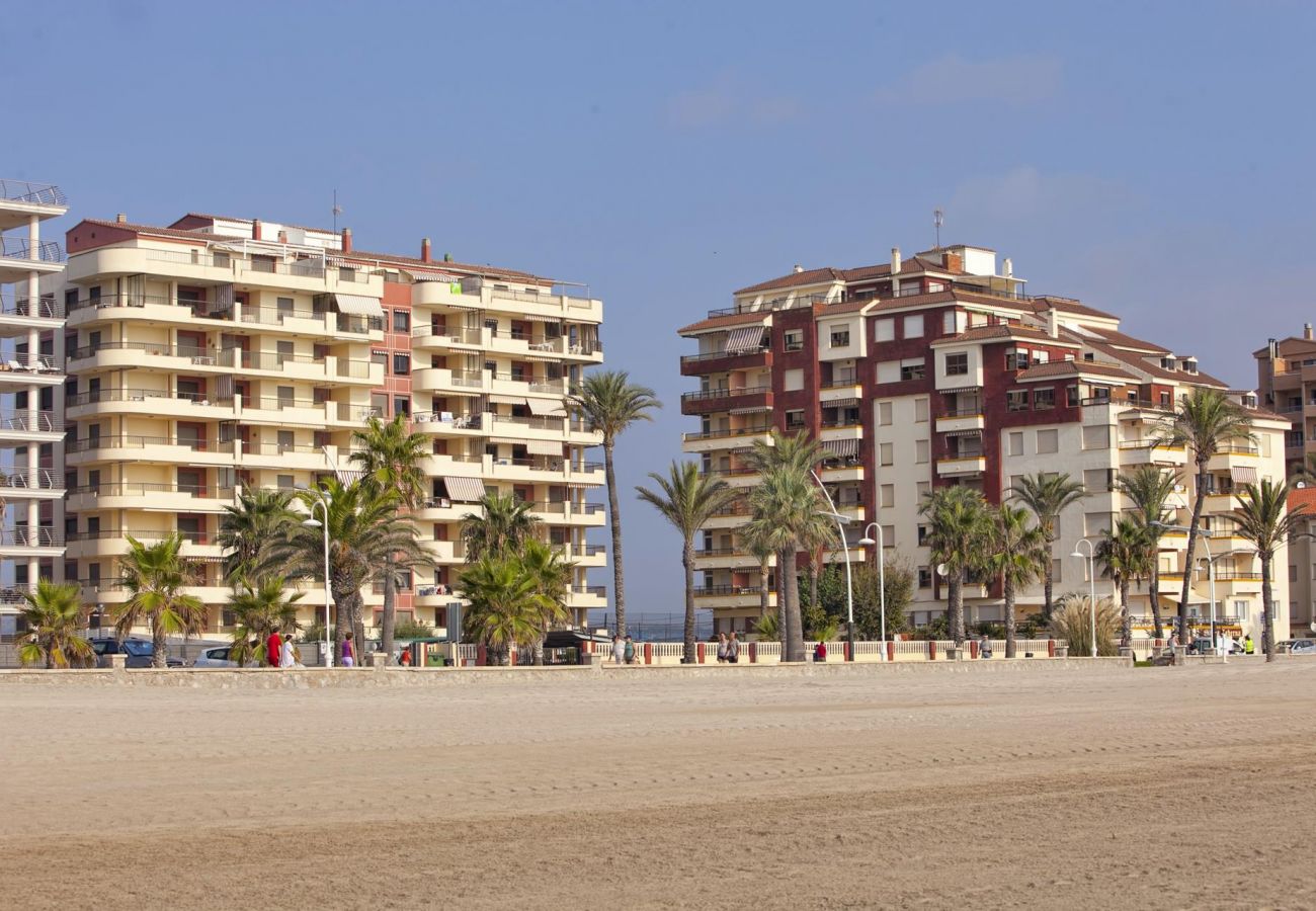 Bâtiment Albatros, urbanisation Albatros, première ligne, plage, famille, situation