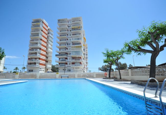 Studio à Benicàssim - ESTORIL BLQ 1