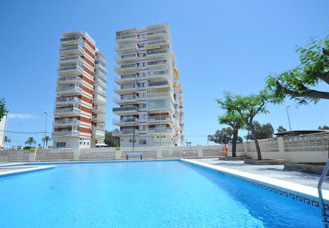 Appartement à Benicàssim - ESTORIL BLQ 2 Appartement à Benicàssim - ESTORIL BLQ 2