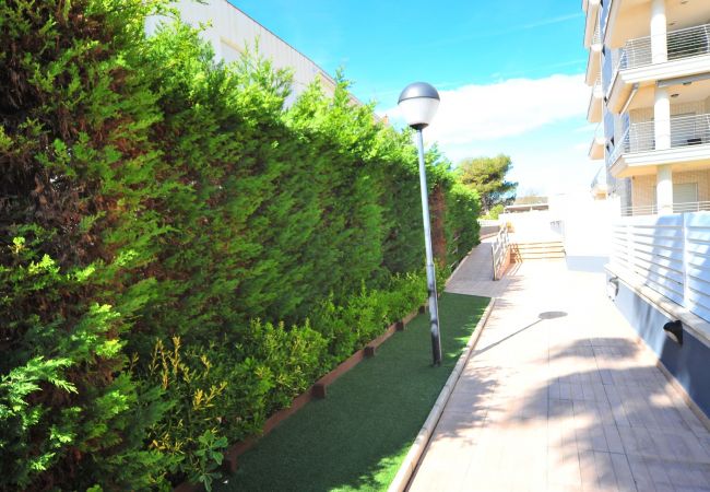 Appartement à Peñiscola - PLAYA NORTE Appartement à Peñiscola - PLAYA NORTE