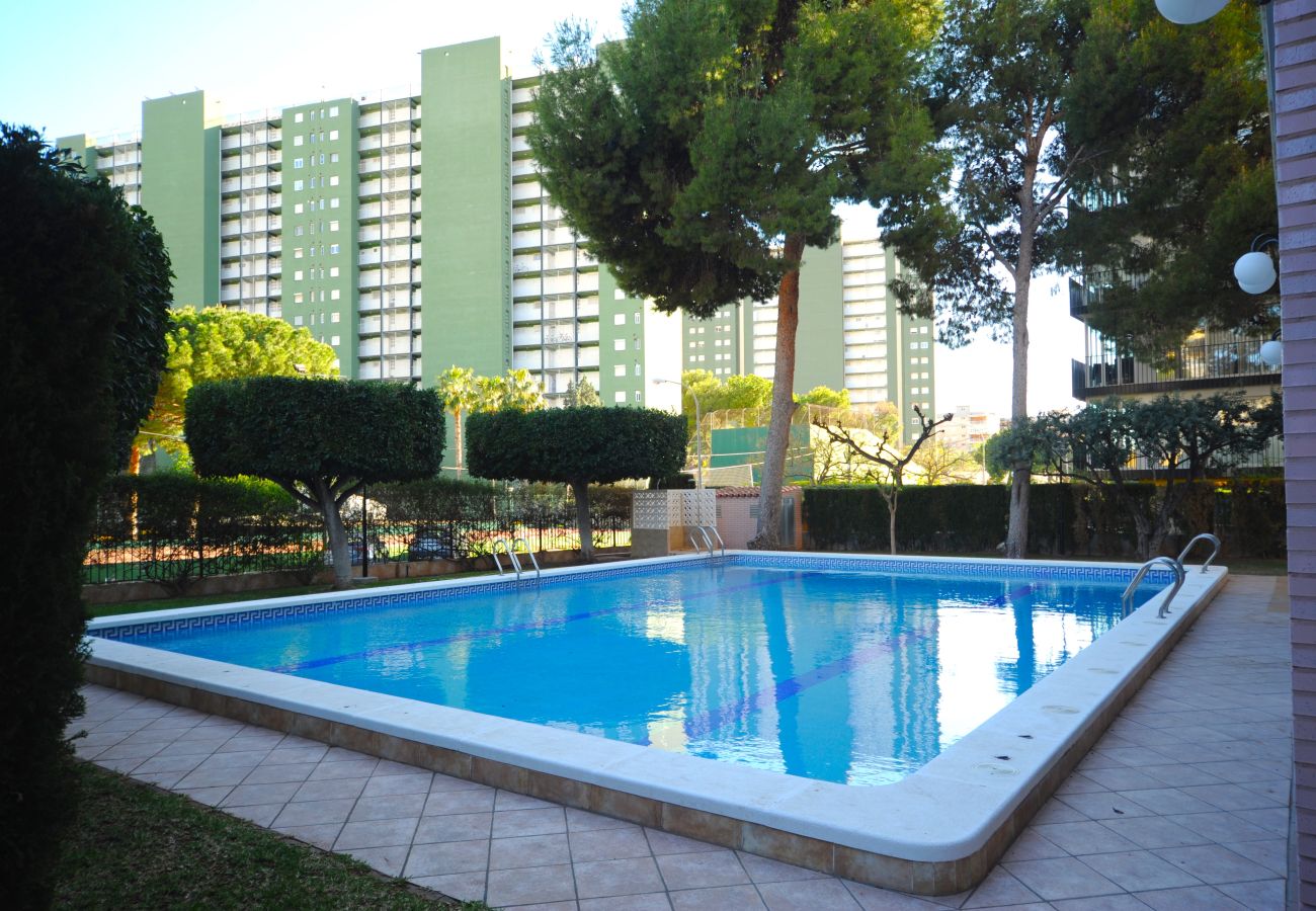 Appartement à Benicàssim - LA PINADA