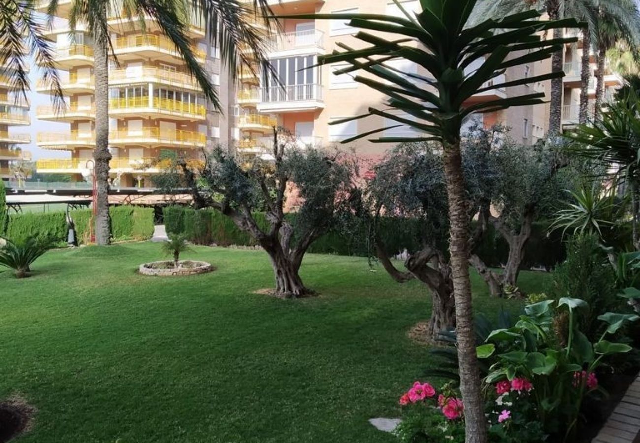 Appartement à Benicàssim - BALI