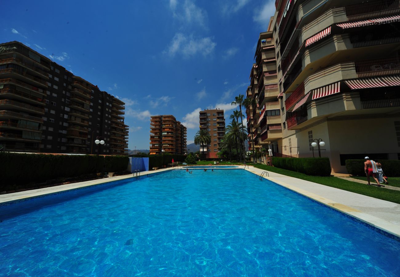 Appartement à Benicàssim - BALI
