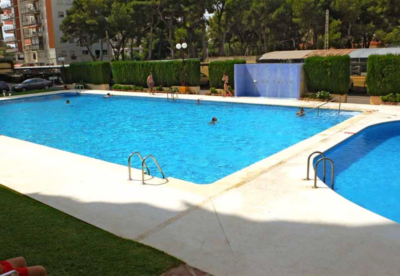 Appartement à Benicàssim - BALI